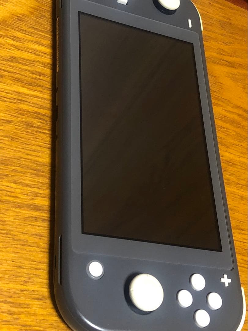 Nintendo Switch Lite グレー 本体　送料無料‼️