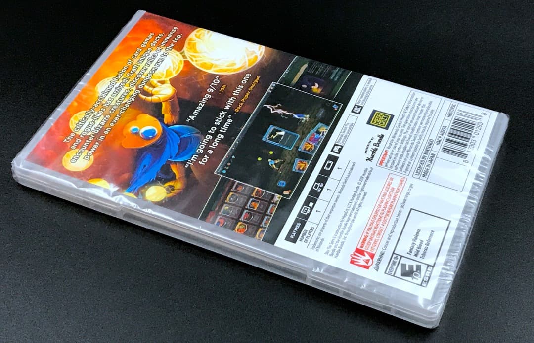 Slay the Spire スレイザスパイア 北米版 switch スイッチ