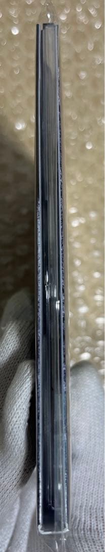 Divine Sentence 女性ボーカル　メタルコア　廃盤　　新品未開封CD