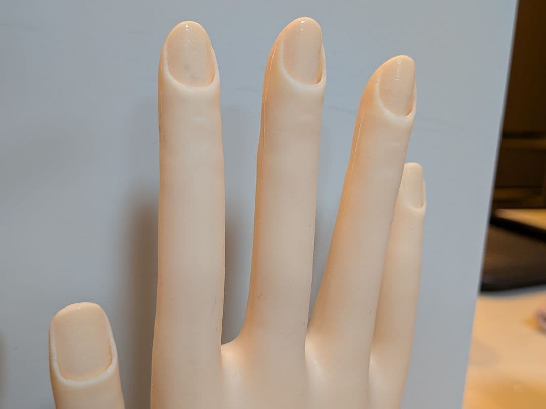 ネイリスト技能検定　認定モデルハンド