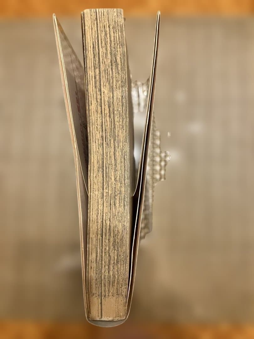 ONE PIECE ROMANCE DAWN 1巻