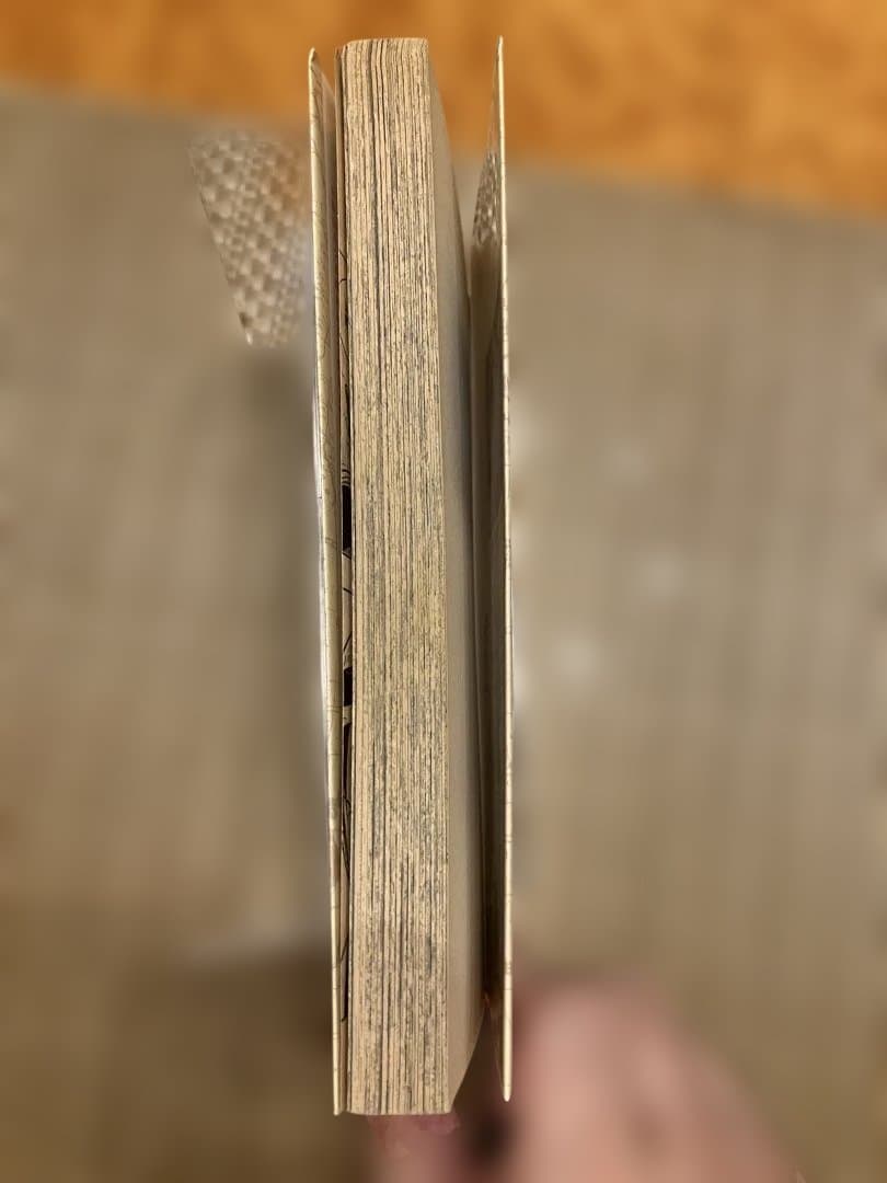 ONE PIECE ROMANCE DAWN 1巻