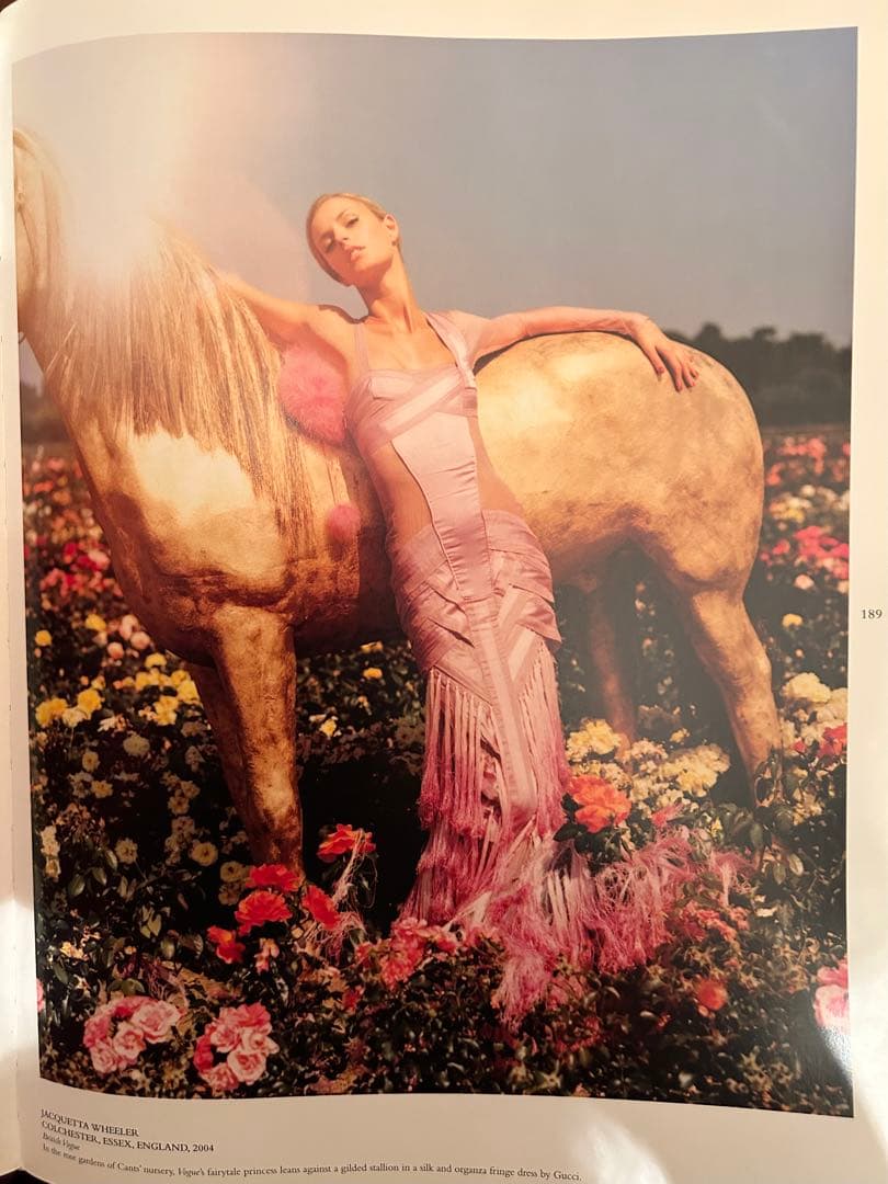 TIM WALKER PICTURES 洋書　写真集　ファッション　アート　服飾