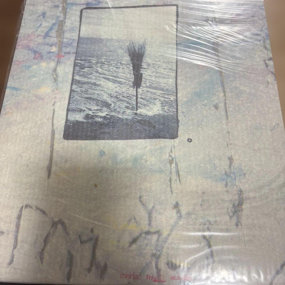 り*様 クロマニヨンズ。真島昌利。ブギ連　アナログ盤