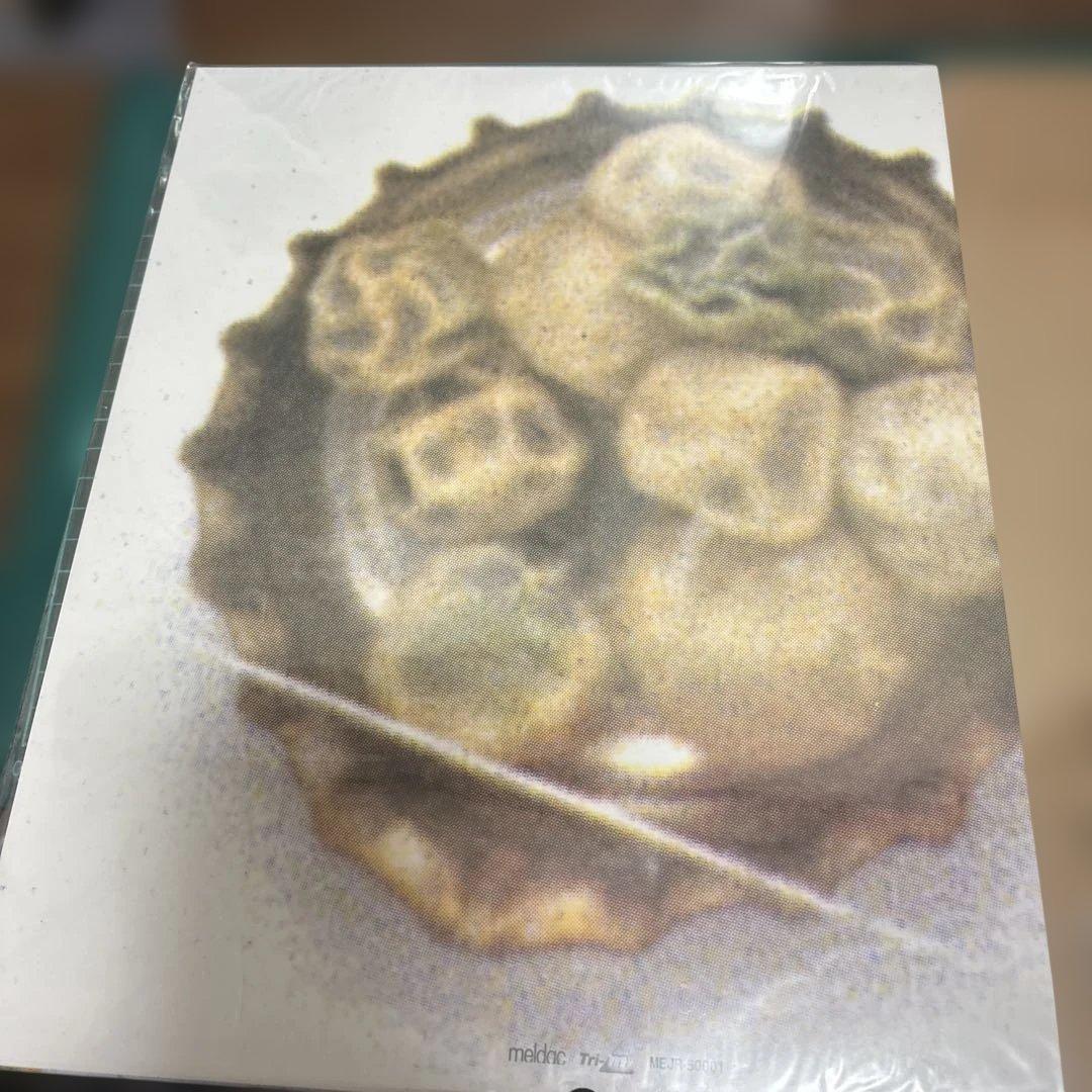 り*様 クロマニヨンズ。真島昌利。ブギ連　アナログ盤