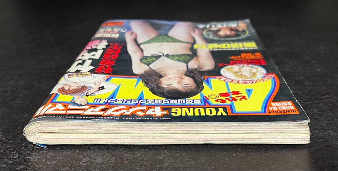 ●ヤングアニマル 1998年 No.14 ●カラー大特集···ベルセルク 特別編