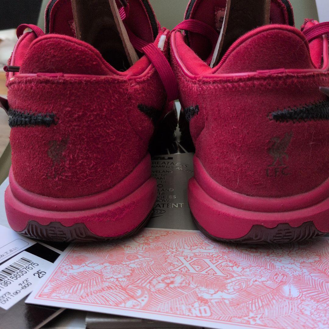 NIKE レブロン20リバプール 25cm