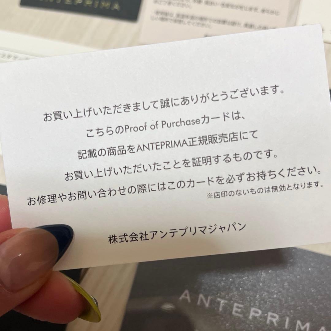 【yuka●本日まで】アンテプリマ ワイヤーバッグ ミニアトゥーラ