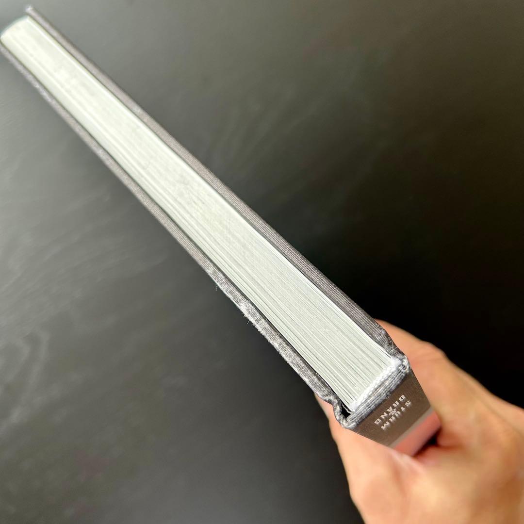 【洋書】LUIS SANCHIS