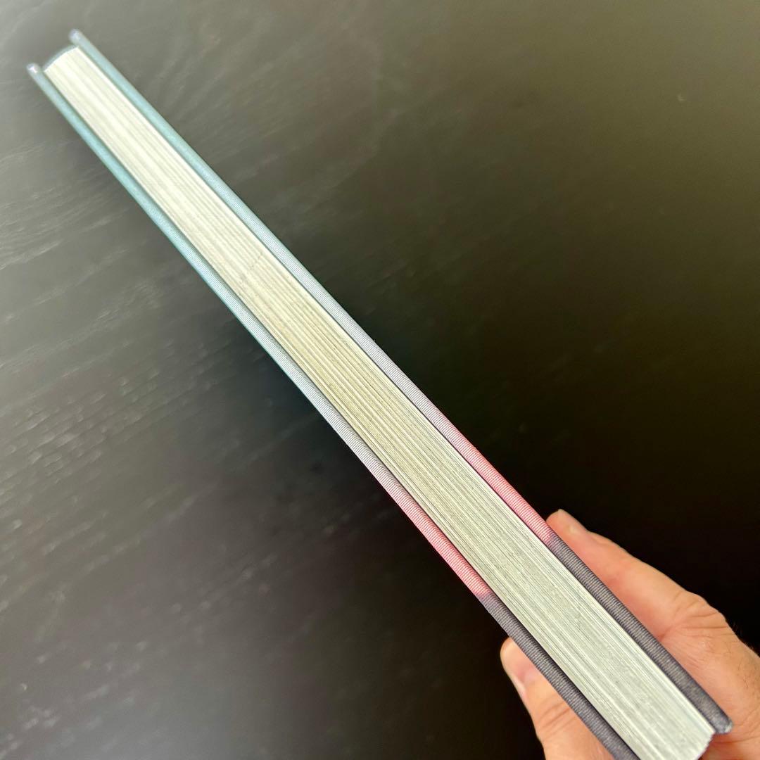 【洋書】LUIS SANCHIS