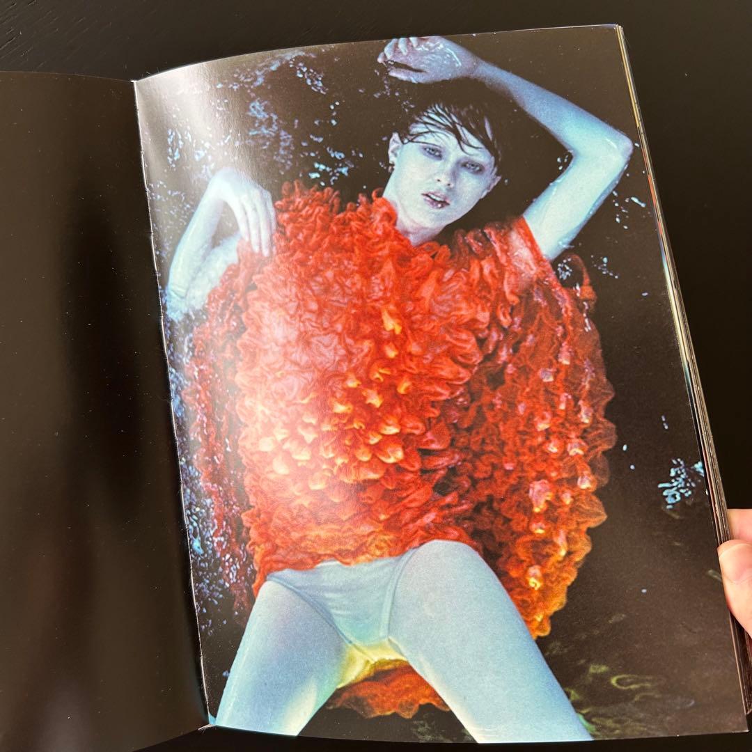 【洋書】LUIS SANCHIS