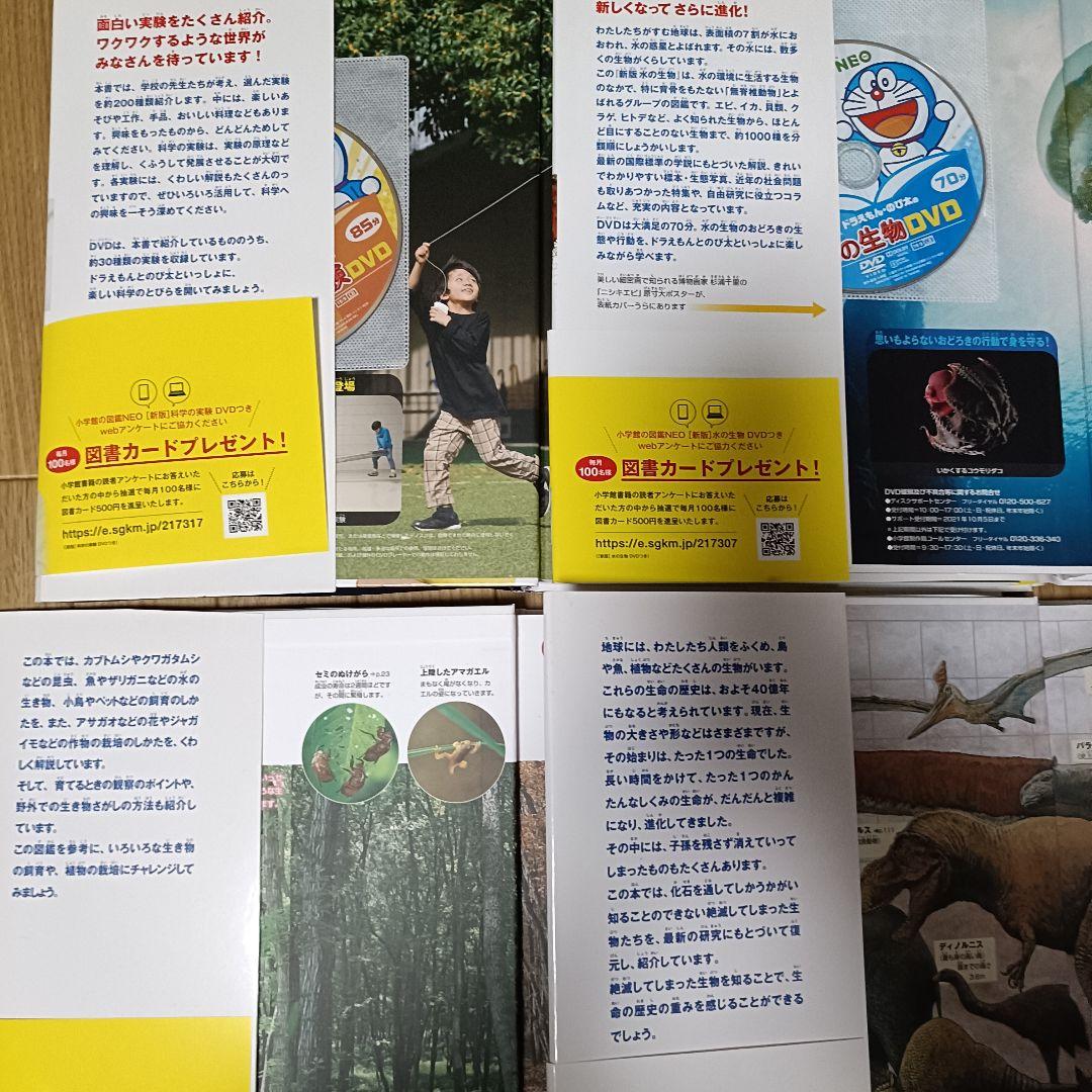 ★美品★小学館の図鑑NEO　8冊セット