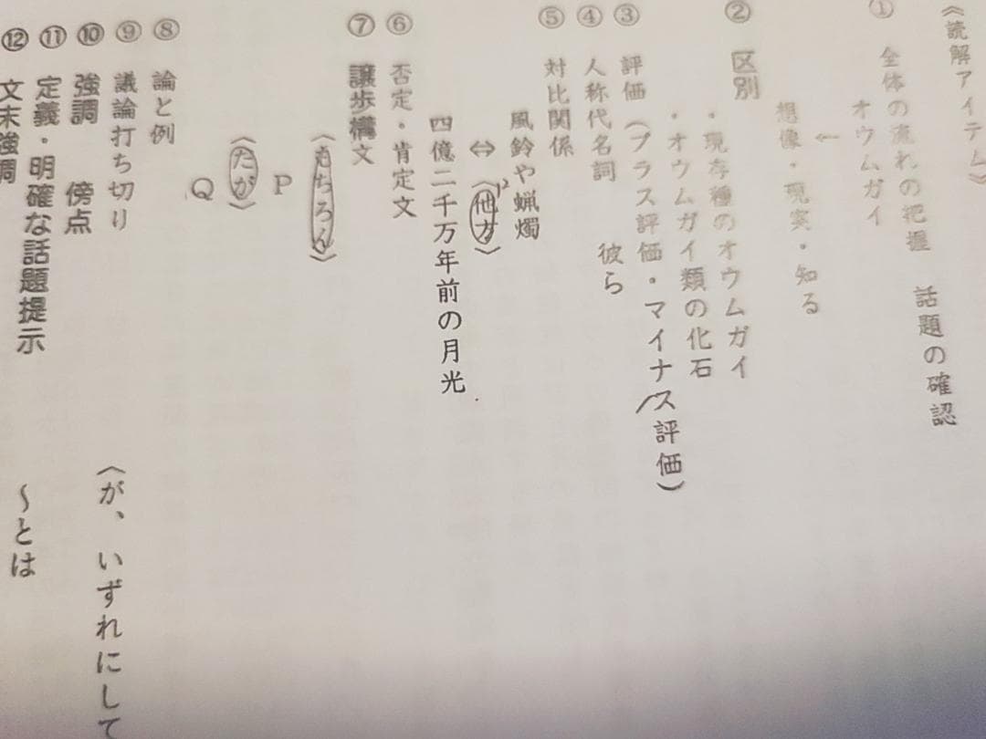 偶数年対応　駿台　松本孝子先生による京大現代文通年板書プリント集　河合塾　鉄緑会