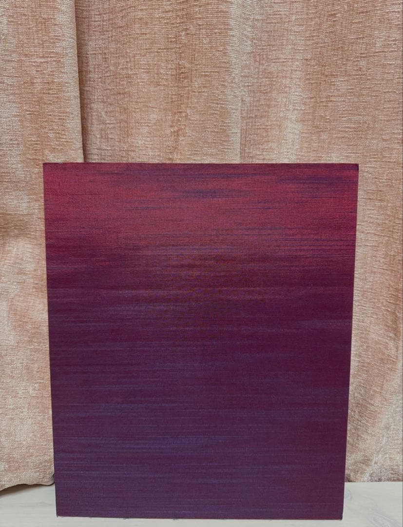 #FF0921 小松菜奈　菅田将暉　スダナナ　写真集　レア