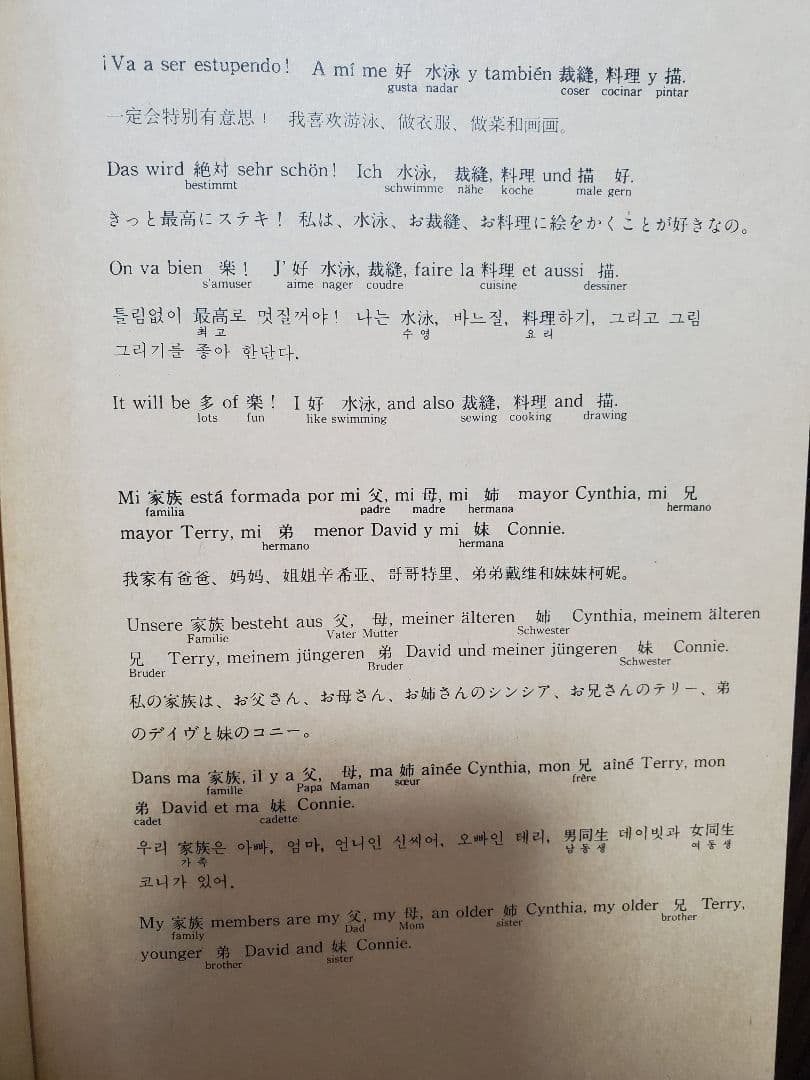 ヒッポ多言語マテリアル SDカードセット、本