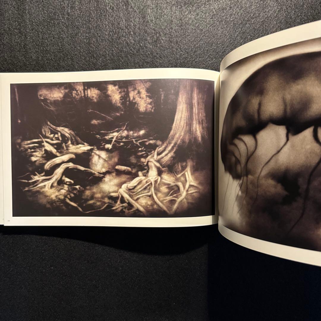 ロッキー・シェンク Rocky Schenck 写真集 Photographs