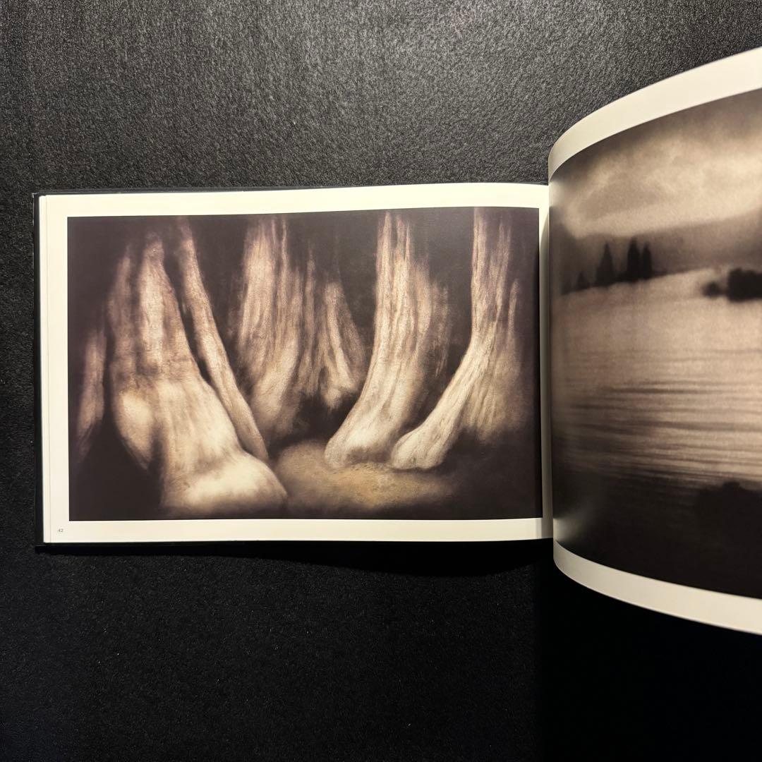 ロッキー・シェンク Rocky Schenck 写真集 Photographs