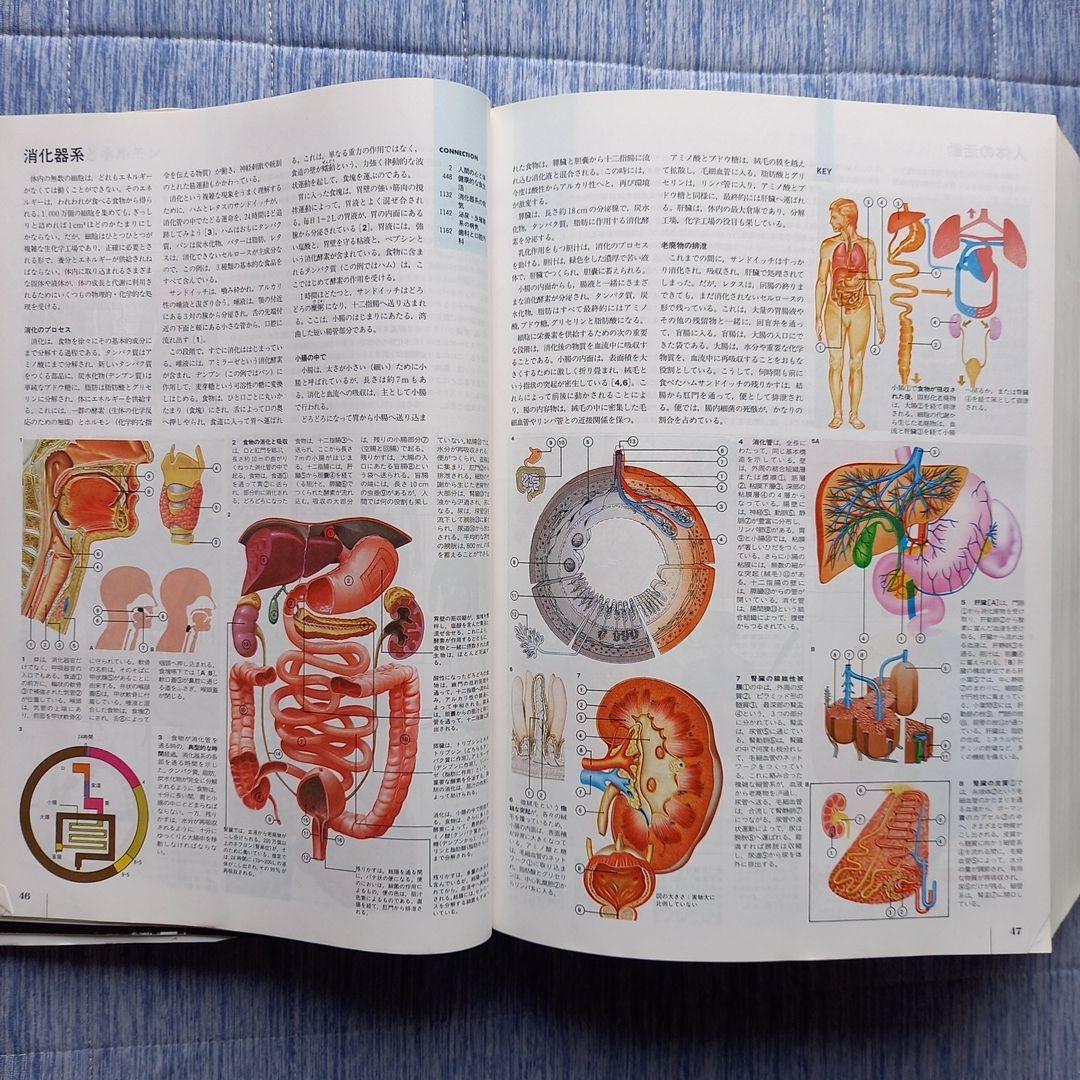 丸善エンサイクロペディア大百科