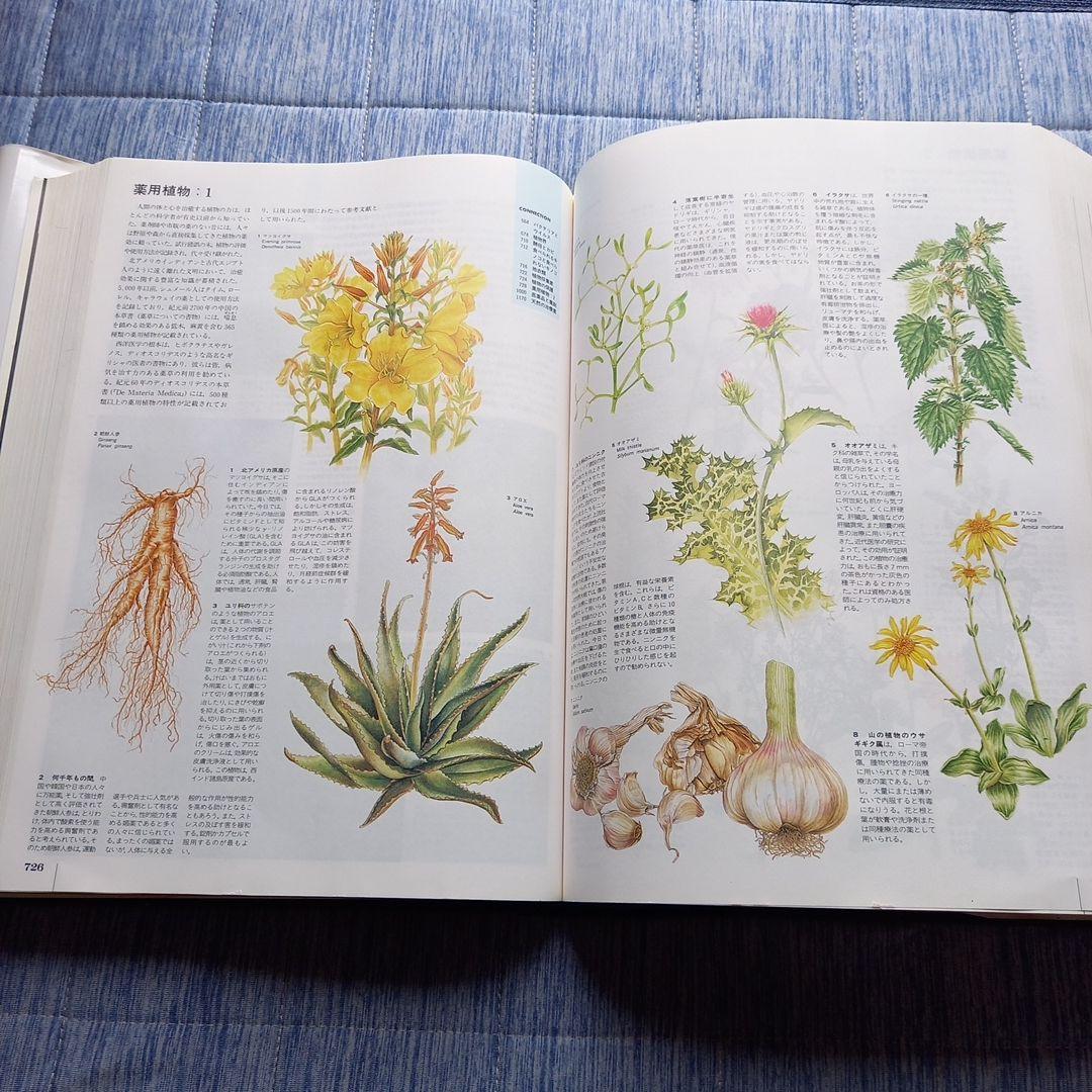 丸善エンサイクロペディア大百科