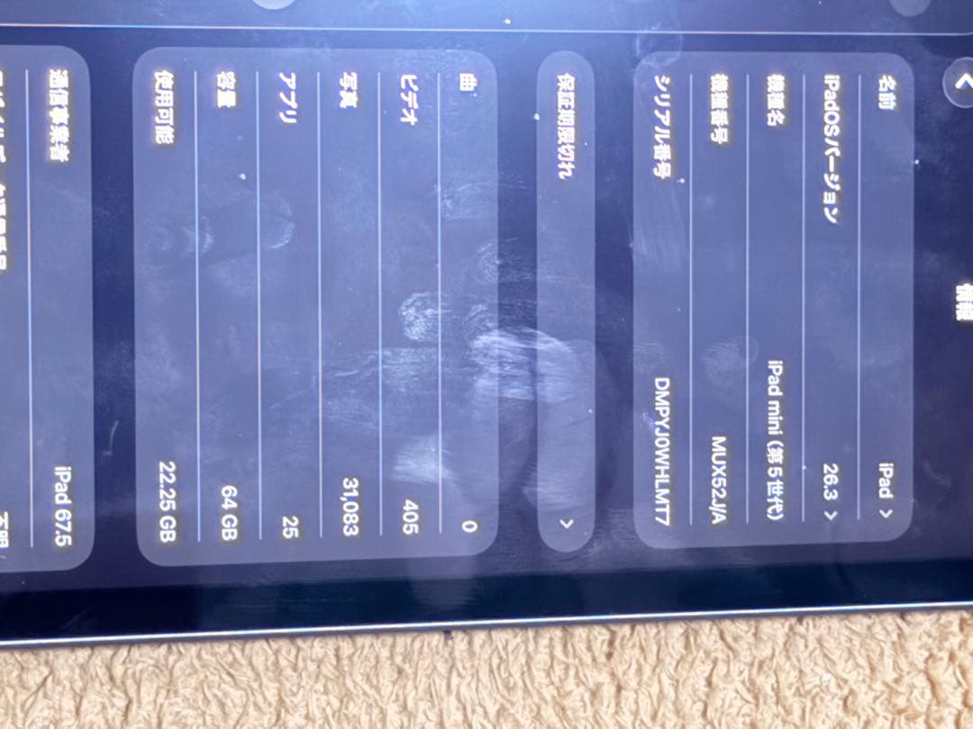 iPad mini 第5世代 グレー 64GB セルラー