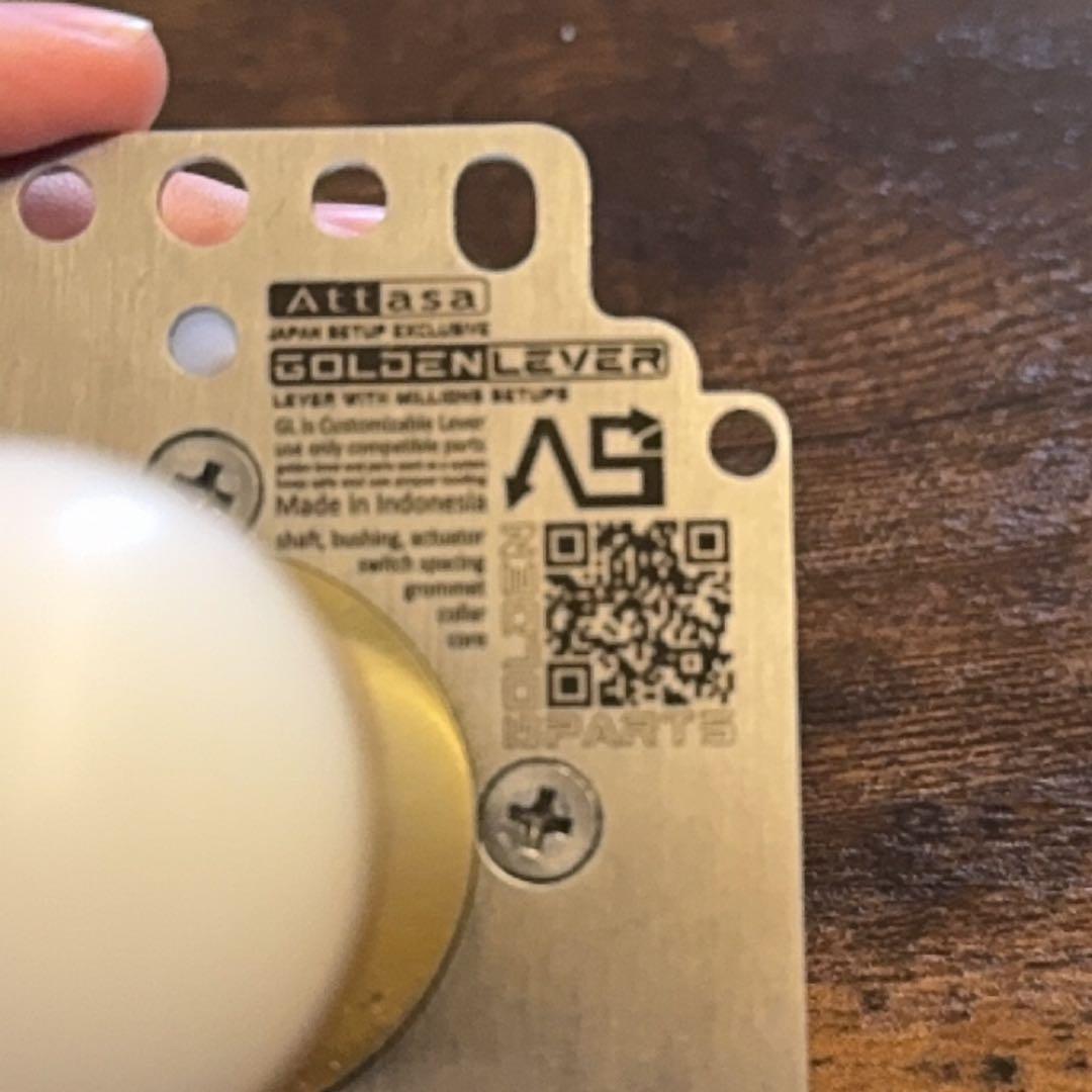 その他 Golden lever