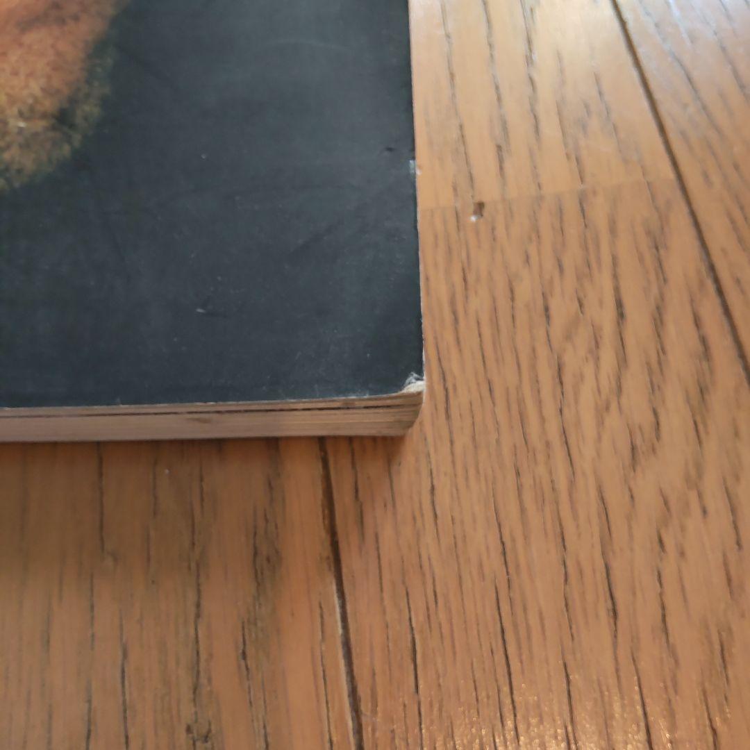 洋書 blag dgv. die gestalten verlag, BERLIN