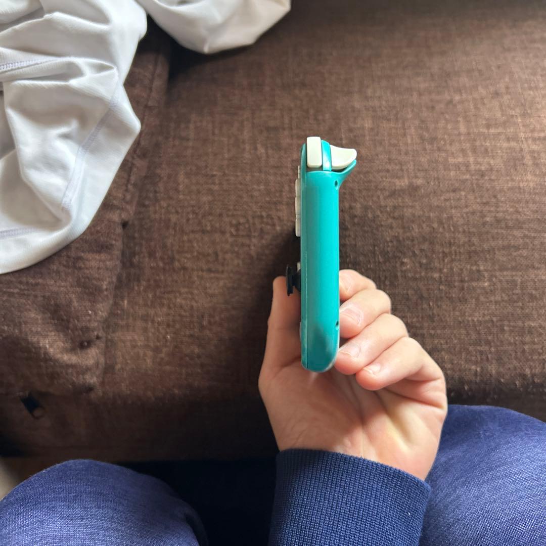 ニンテンドースイッチライト