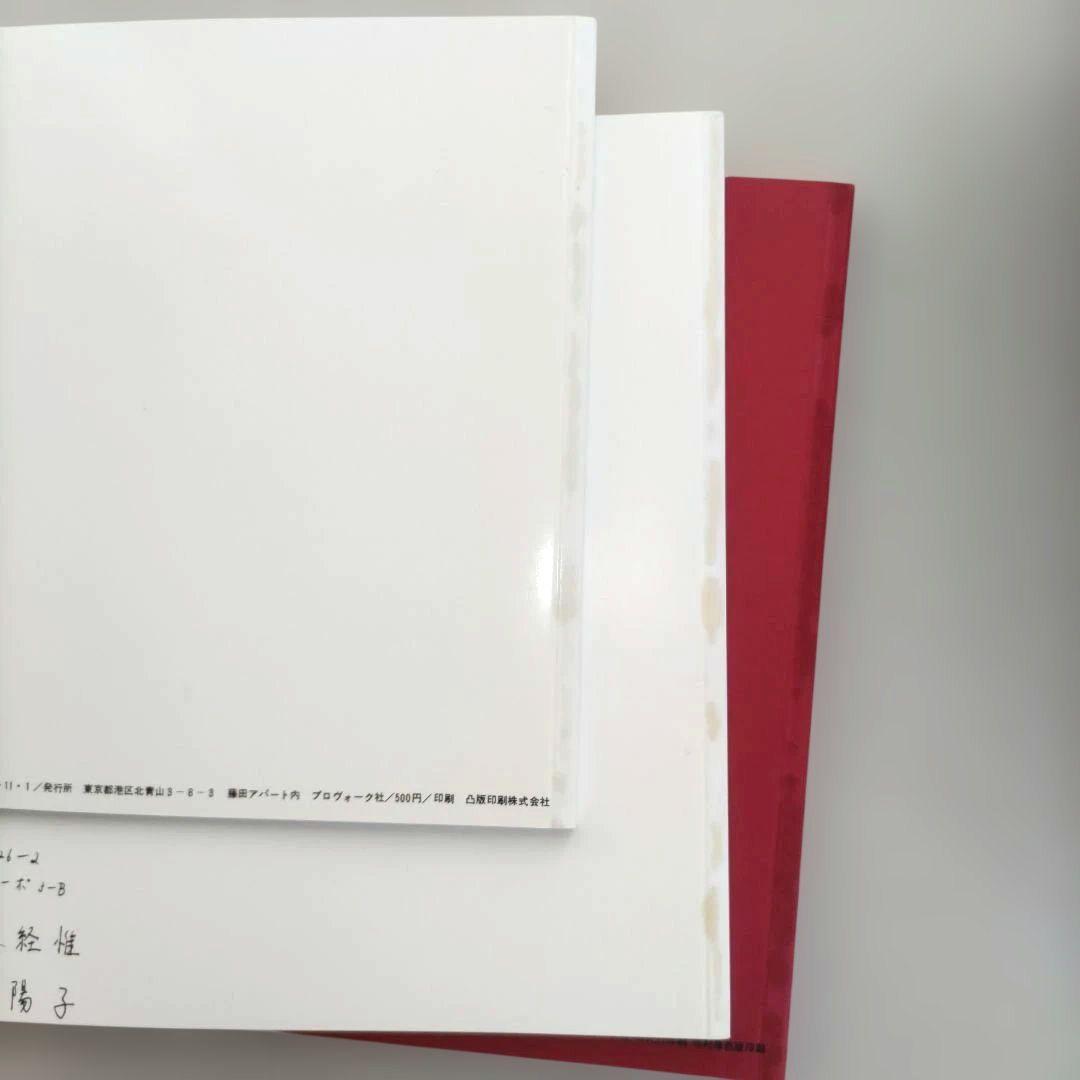 【希少】THE JAPANESE BOX/限定版復刻写真集セット