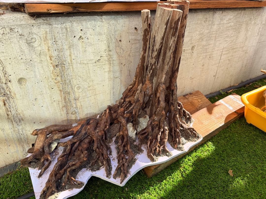 60センチ水槽用のレーアウト