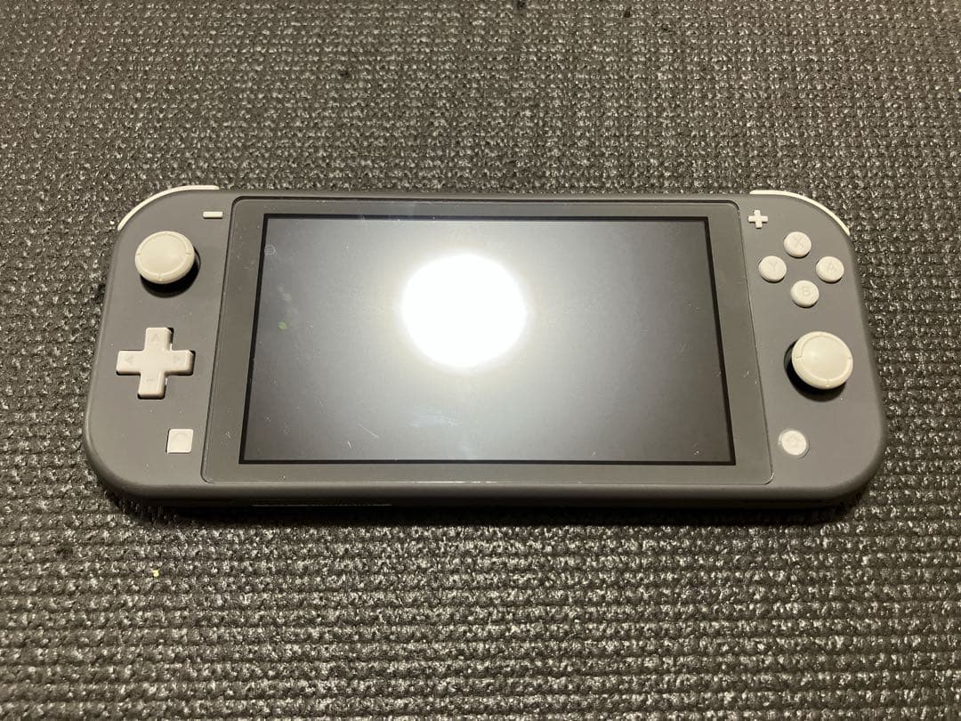 Nintendo Switch Liteのグレー本体と充電器、ケース