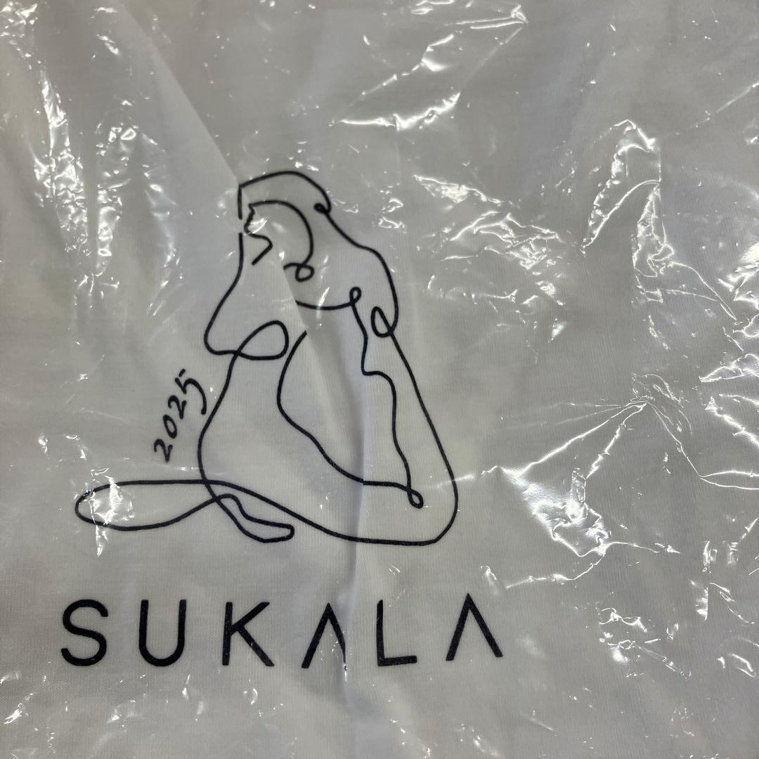 新品ヨガセット