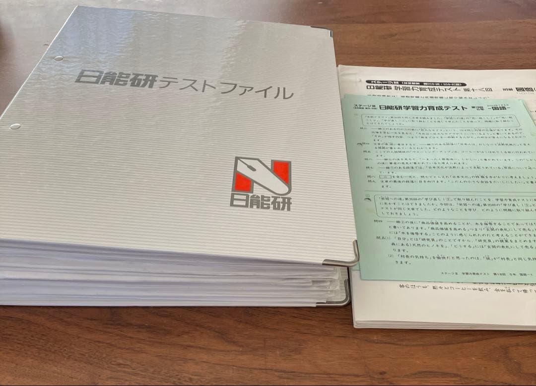 日能研学習力育成テスト　5年　全19回分