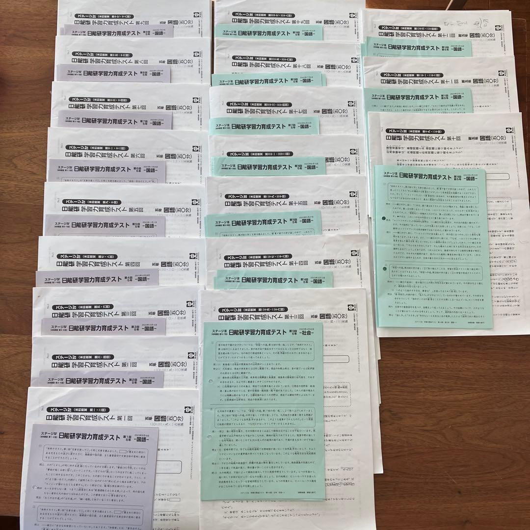 日能研学習力育成テスト　5年　全19回分