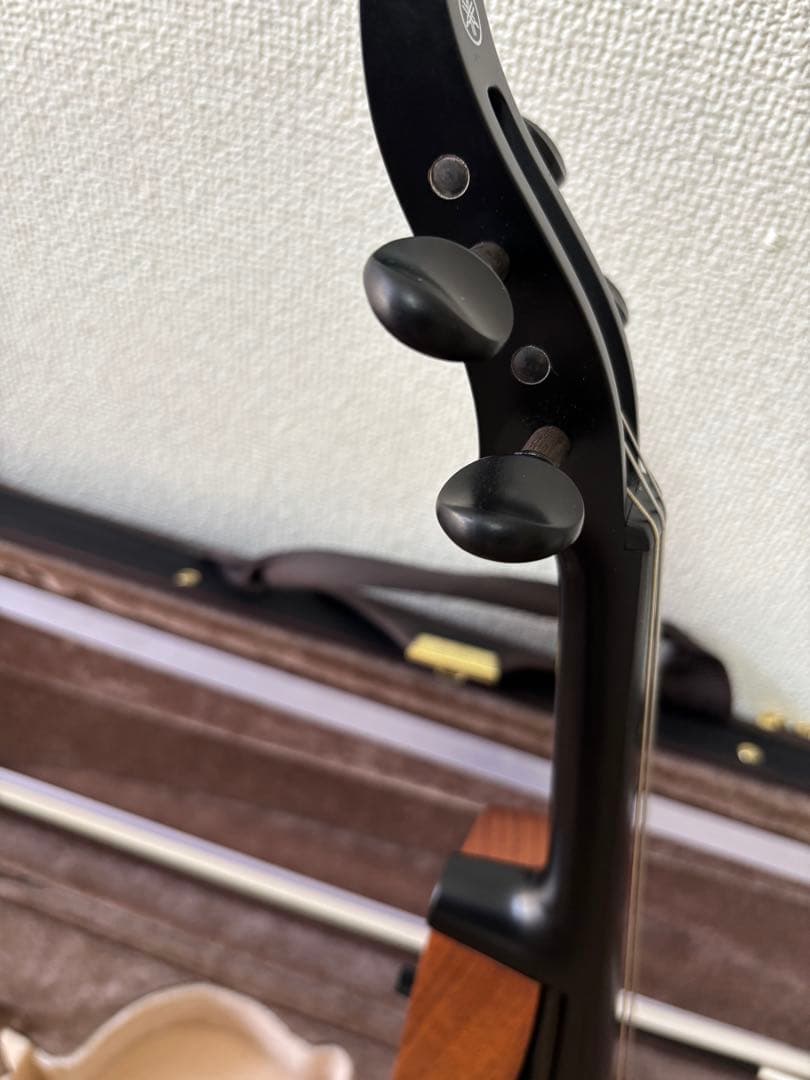 弦楽器 Electric Violin Model YEV104
