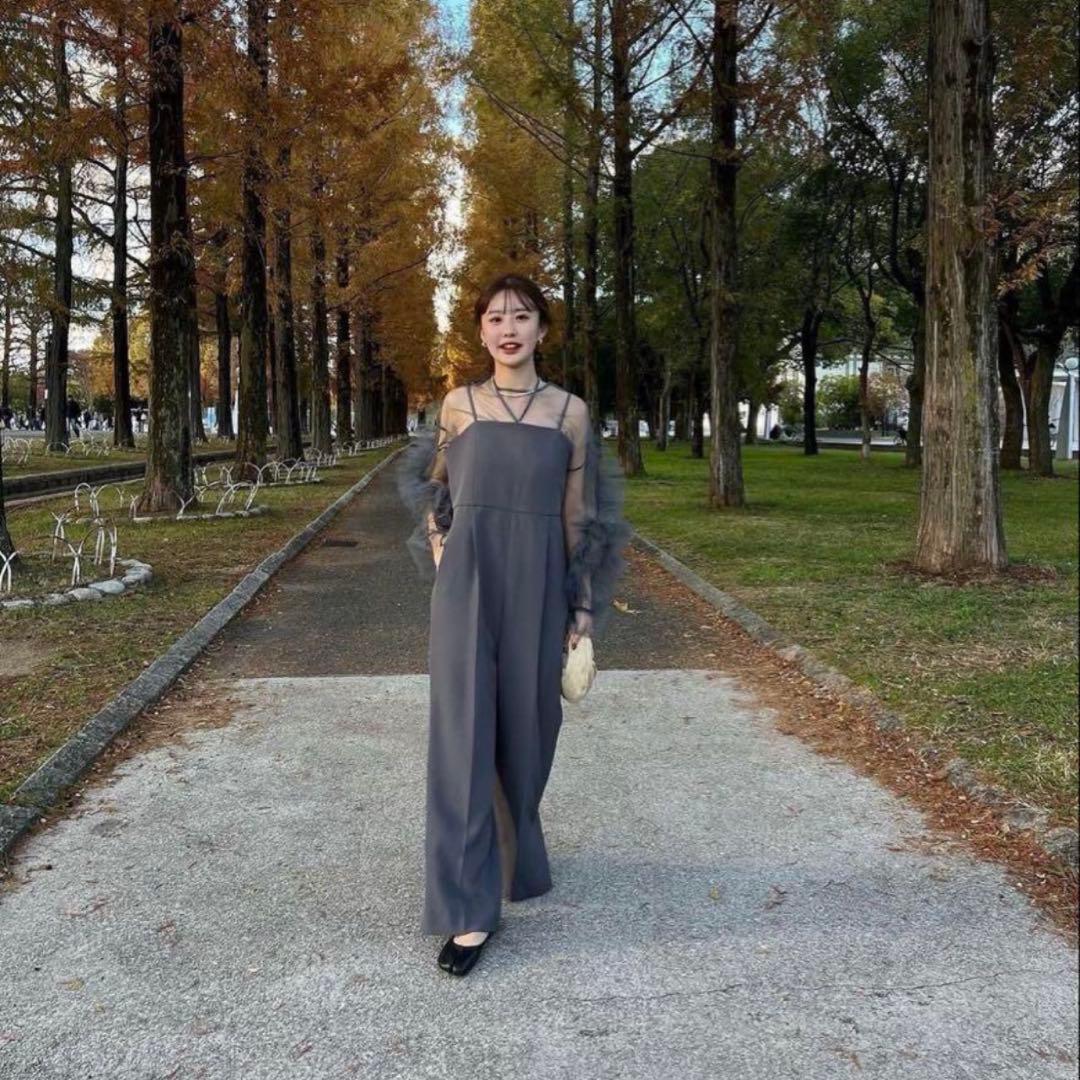 【ANDRESD】all in one dress & tulle tops