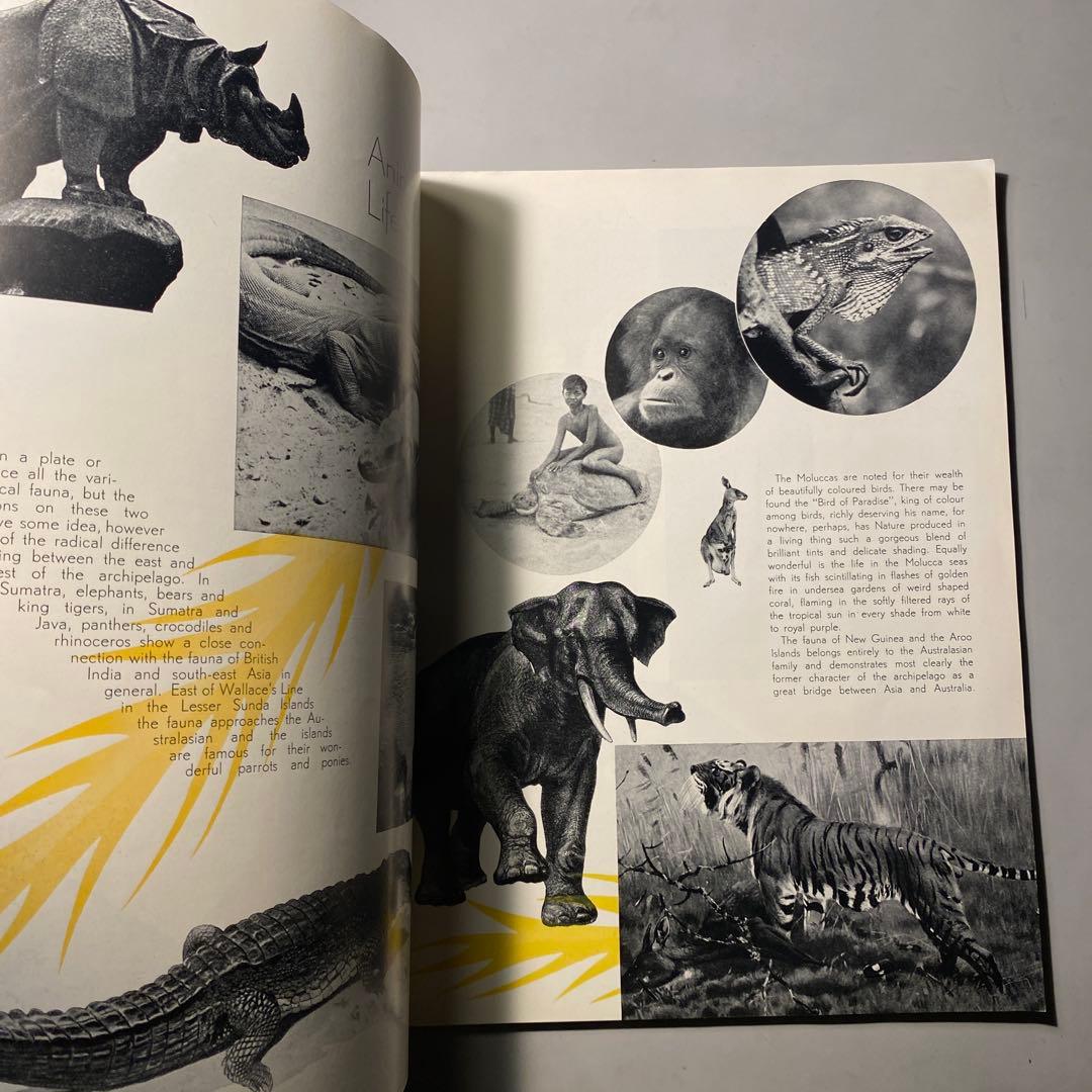 【ビンテージ】1933 The Netherland Indies豪華パンフ