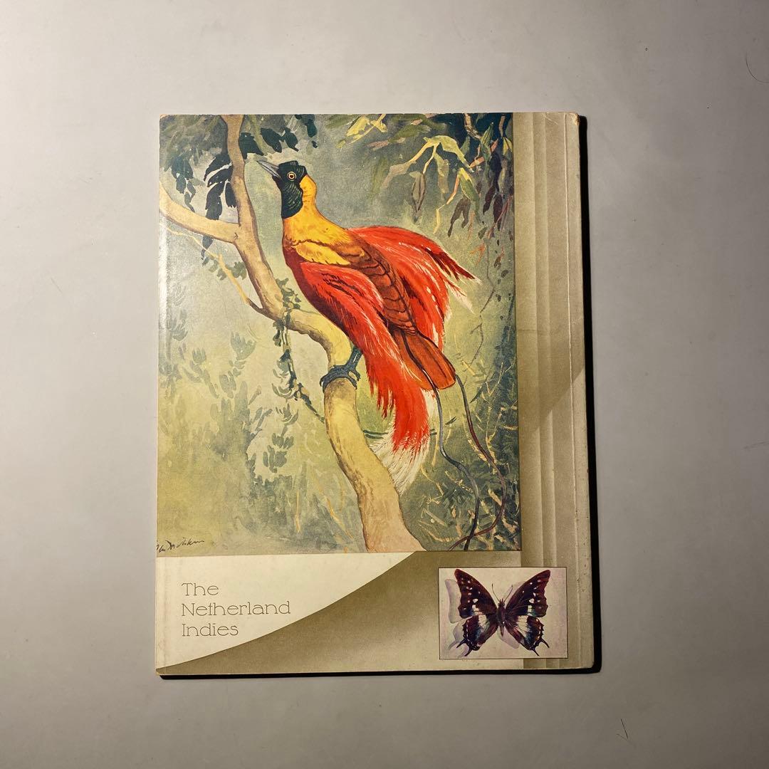 【ビンテージ】1933 The Netherland Indies豪華パンフ