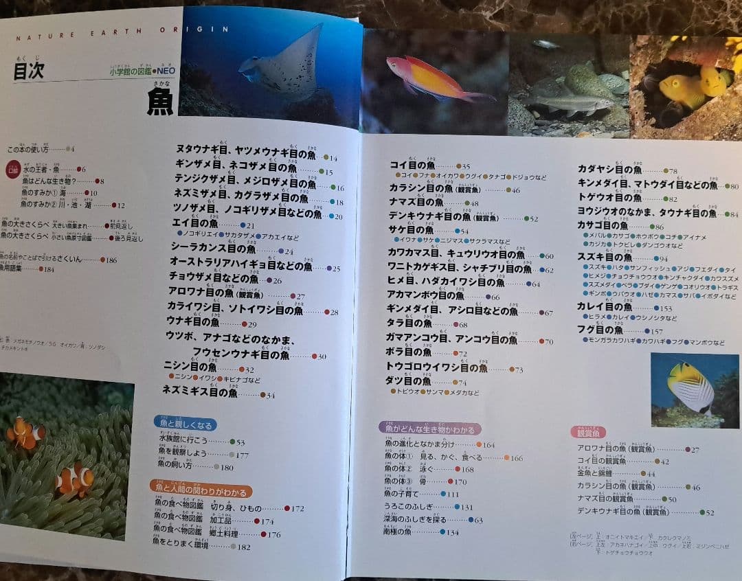 小学館の図鑑NEO 　セット