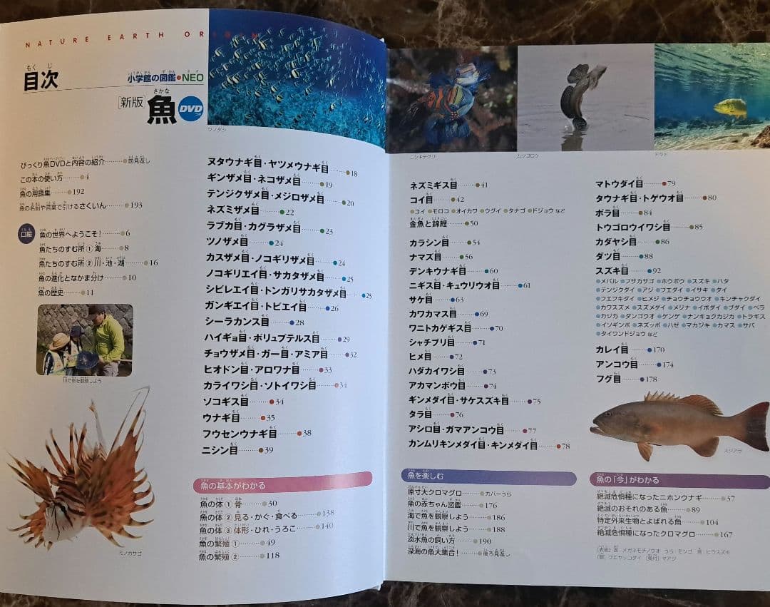 小学館の図鑑NEO 　セット