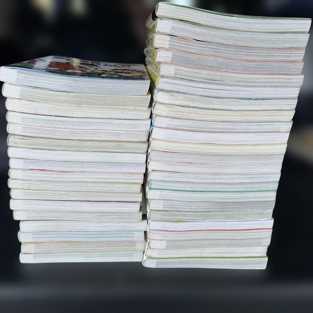 サバイバルシリーズ40冊セット❣️