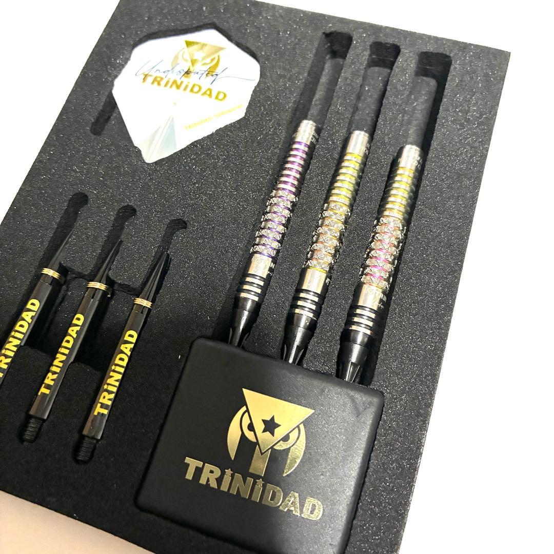 リカルドα 浅田斉吾 限定版 TRINIDAD トリニダード ダーツ 2BA