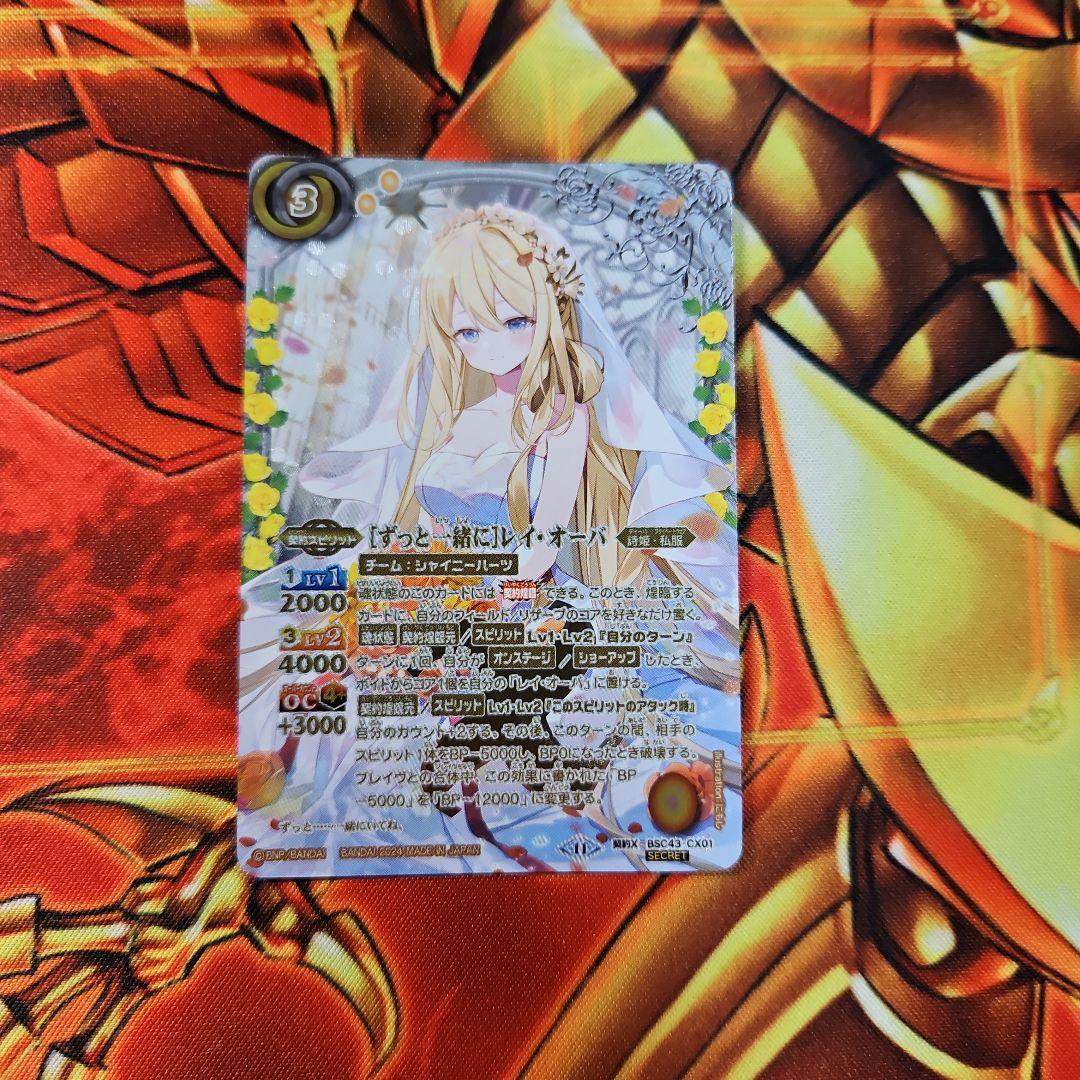 ずっと一緒に レイオーバ レイ・オーバ シークレット シク