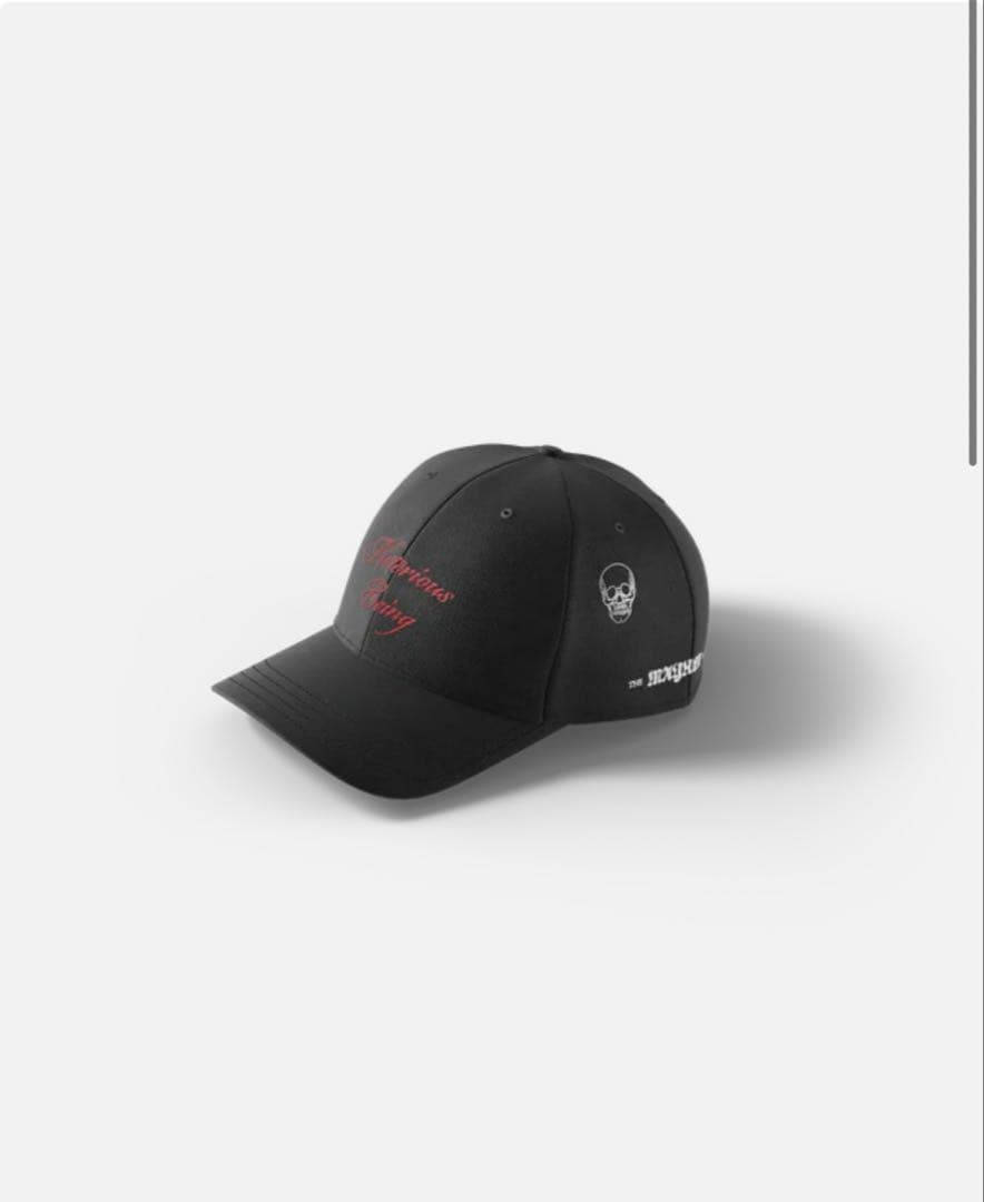 新品『早い者勝ち』Lady Gaga The MAYHEM Ball 公式グッズ