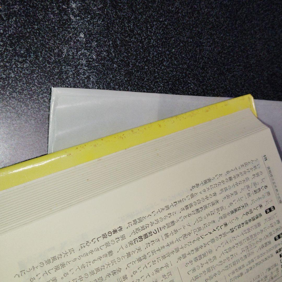 改訂版 漢文 (チャート式シリーズ)　数研出版　高校生　大学受験　絶版　希少