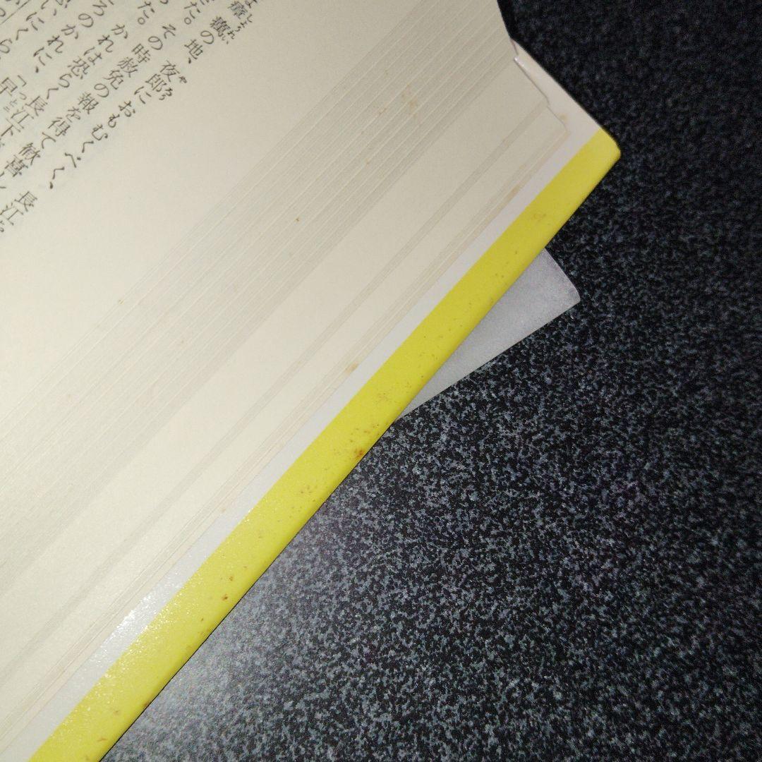 改訂版 漢文 (チャート式シリーズ)　数研出版　高校生　大学受験　絶版　希少