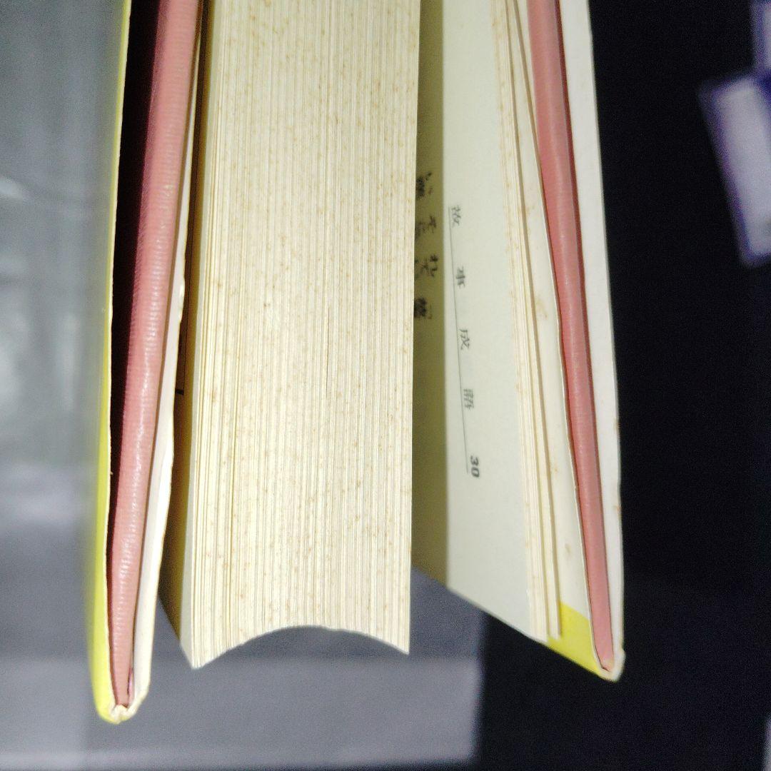 改訂版 漢文 (チャート式シリーズ)　数研出版　高校生　大学受験　絶版　希少