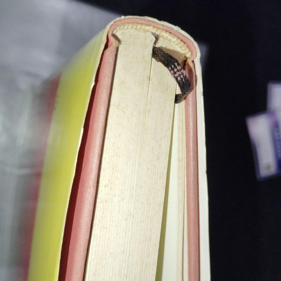 改訂版 漢文 (チャート式シリーズ)　数研出版　高校生　大学受験　絶版　希少