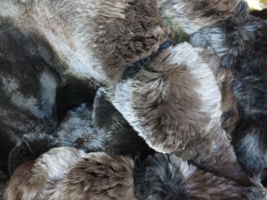 春らんまん Haru Ranman 布団 エクセルヒューマン