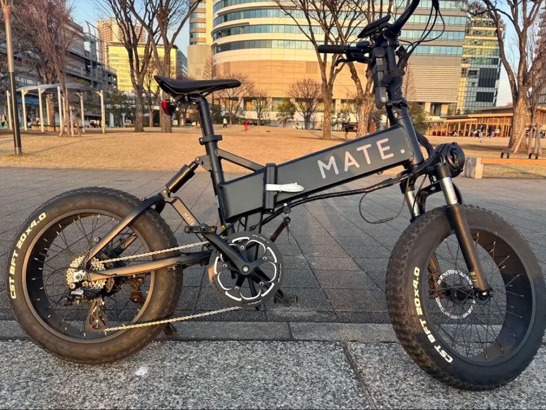 MATE X カスタム多数　電動アシスト　ブラック