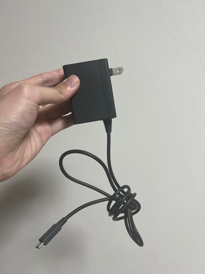 Nintendo Switch Lite グレー本体 箱付きゲームソフト2本付き